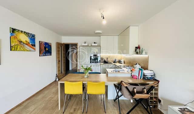 Pronájem bytu 2+kk 80 m², Nová, České Budějovice – České Budějovice 3