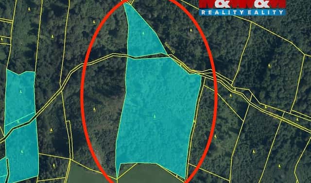 Prodej lesa 29 330 m², Horní Studénky, okres Šumperk