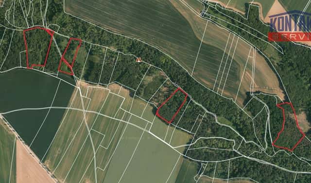 Prodej lesa 58 553 m², Chorušice – Velký Újezd, okres Mělník