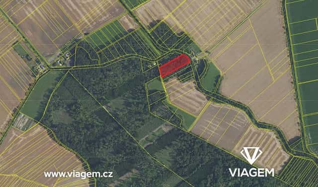 Prodej zahrady 3 763 m², Žerotín, okres Olomouc