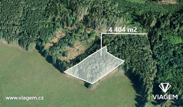 Prodej lesa 978 m², Čestice, okres Strakonice