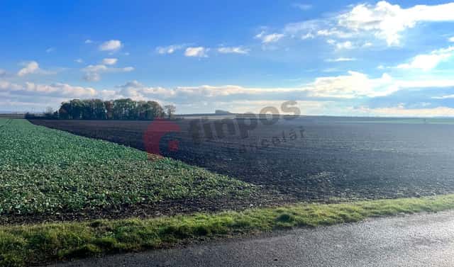 Prodej pozemku 6 499 m², Přezletice, okres Praha-východ
