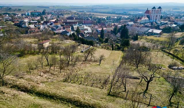 Prodej zahrady 818 m², Na Městečku, Pozořice, okres Brno-venkov