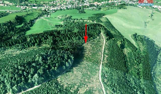 Prodej lesa 5 445 m², Lhota u Vsetína, okres Vsetín
