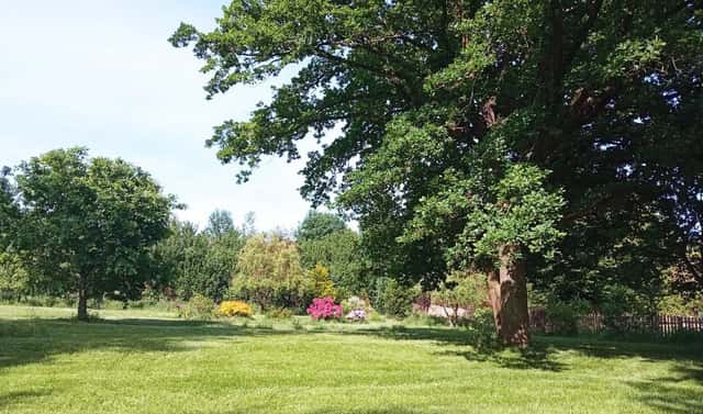 Prodej stavebního pozemku 985 m², Blažejovice, okres Benešov