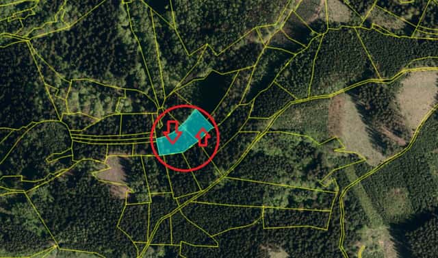 Prodej lesa 1 373 m², Nemojany, okres Vyškov