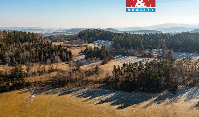 Prodej lesa 14 147 m², Nišovice, okres Strakonice