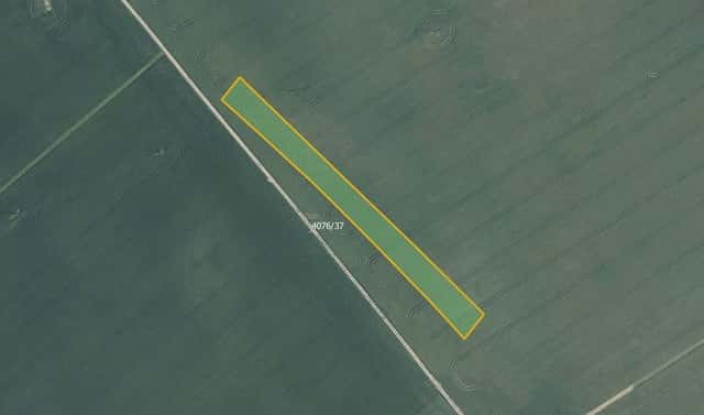 Prodej pole 5 594 m², Moravská Nová Ves, okres Břeclav