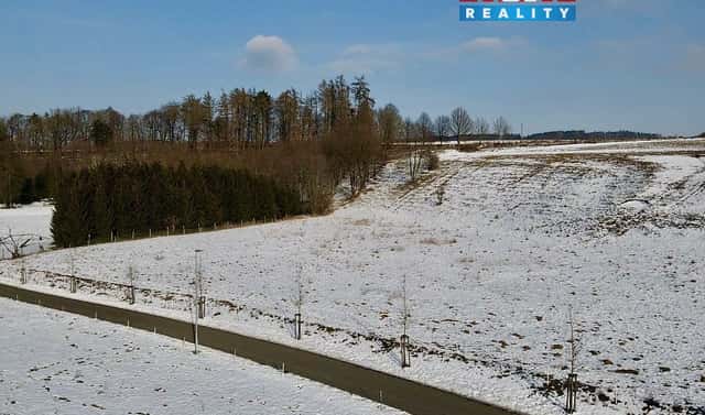 Prodej louky 10 441 m², Česká Třebová, okres Ústí nad Orlicí