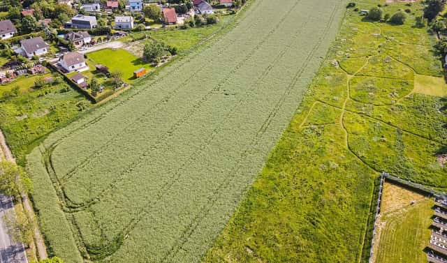 Prodej komerčního pozemku 11 768 m², Plzeň – Doudlevce, okres Plzeň-město