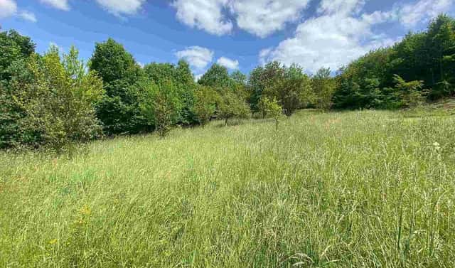 Prodej stavebního pozemku 2 790 m², Nedašova Lhota, okres Zlín