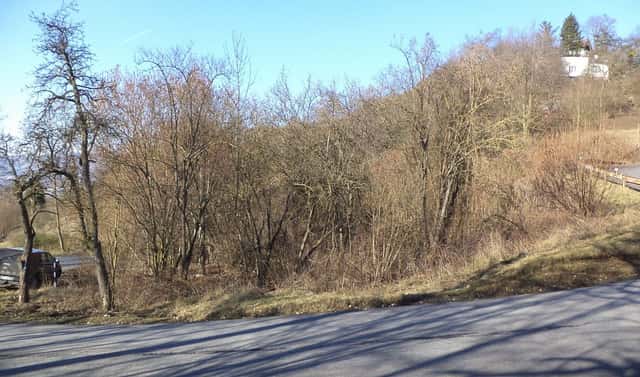 Prodej zahrady 1 700 m², Trmice, okres Ústí nad Labem