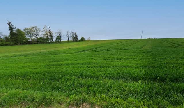 Prodej komerčního pozemku 10 581 m², Žirovnice – Litkovice, okres Pelhřimov