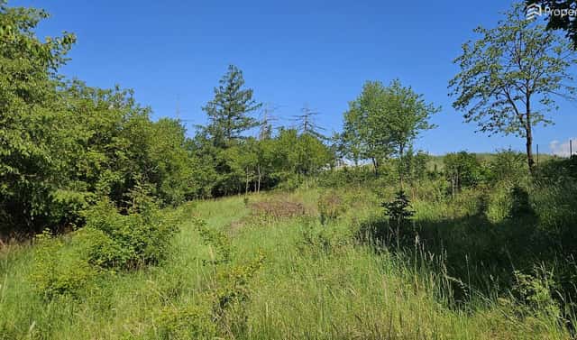 Prodej stavebního pozemku 1 845 m², Letovice – Zboněk, okres Blansko