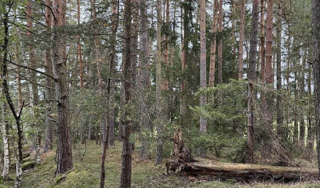 Prodej vodní plochy 9 153 m², Čížkrajice – Nemojany, okres České Budějovice