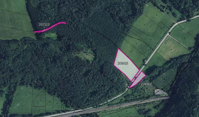 Prodej louky 8 036 m², Tatenice, okres Ústí nad Orlicí