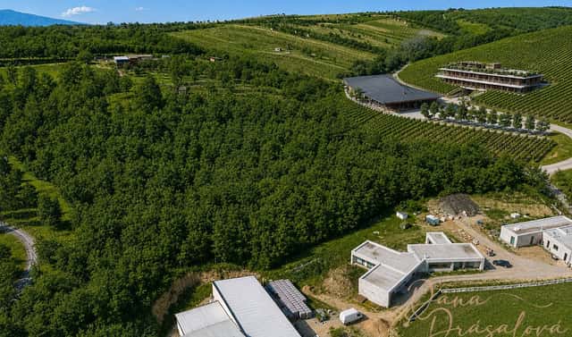 Prodej komerčního pozemku 7 238 m², Velké Pavlovice, okres Břeclav