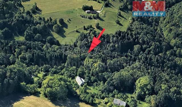 Prodej lesa 2 062 m², Koberovy, okres Jablonec nad Nisou