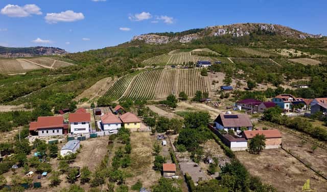 Prodej stavebního pozemku 1 821 m², Bavory, okres Břeclav