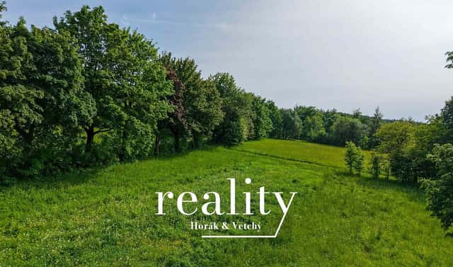 Prodej stavebního pozemku 1 966 m², Čenkovice, okres Ústí nad Orlicí