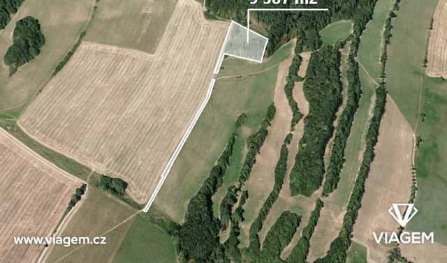 Prodej lesa 9 587 m², Liptaň, okres Bruntál