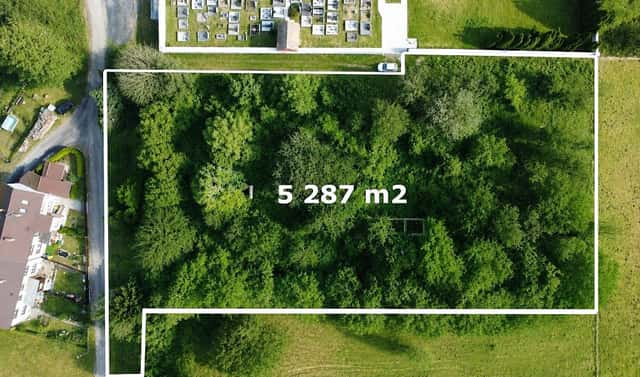 Prodej stavebního pozemku 5 287 m², Smilovy Hory, okres Tábor