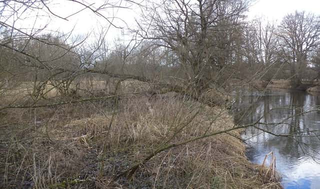 Prodej pozemku 6 591 m², Novosedly nad Nežárkou, okres Jindřichův Hradec