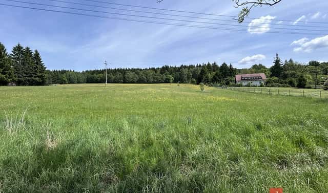 Prodej louky 8 717 m², Frýdlant – Albrechtice u Frýdlantu, okres Liberec