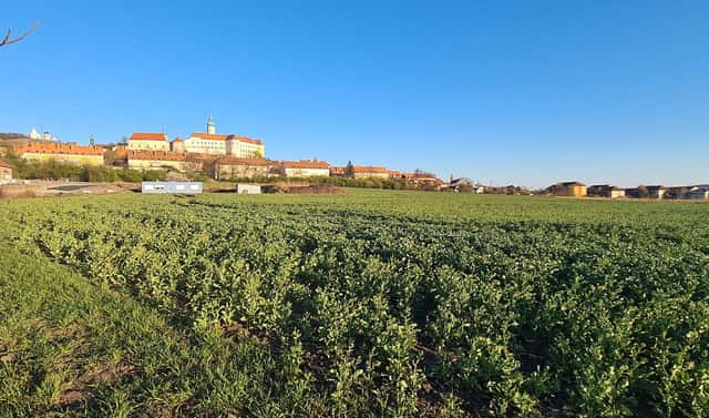 Prodej stavebního pozemku 1 018 m², Mikulov, okres Břeclav