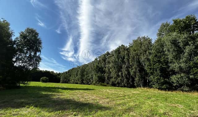 Prodej louky 7 691 m², Petrovice u Karviné – Prstná, okres Karviná