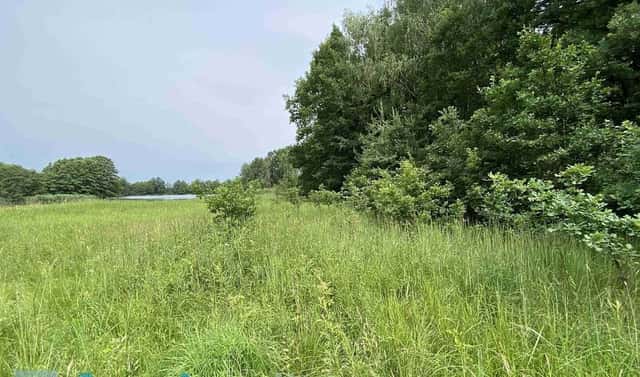 Prodej pozemku 1 639 m², Čejetice – Mladějovice, okres Strakonice