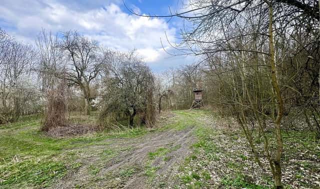Prodej zahrady 6 042 m², Žatec, okres Louny
