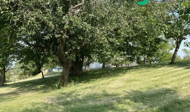 Prodej stavebního pozemku 3 359 m², Petrovice, okres Rakovník