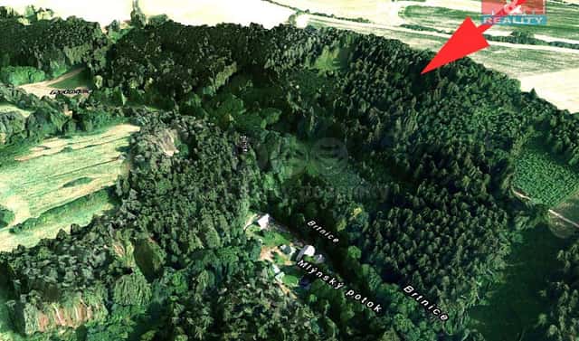 Prodej lesa 21 827 m², Brtnice, okres Jihlava