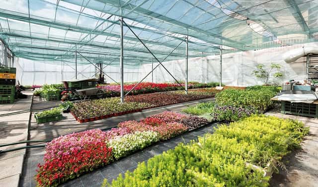 Prodej komerčního objektu (jiného typu) 956 m², Miřetice, okres Chrudim