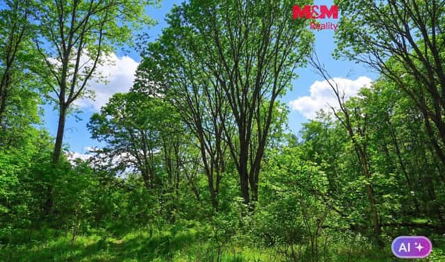 Prodej lesa 2 037 m², Snědovice – Střížovice, okres Litoměřice