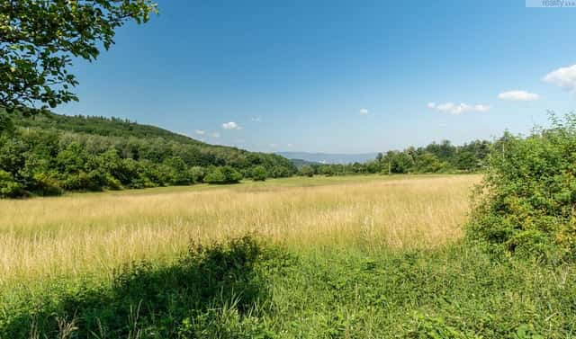 Prodej komerčního pozemku 23 391 m², Braňany – Kaňkov, okres Most