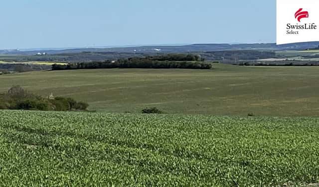 Prodej pole 9 461 m², Polepy, okres Litoměřice