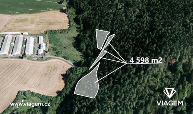 Prodej lesa 2 299 m², Manětín, okres Plzeň-sever
