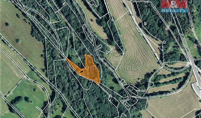 Prodej lesa 4 983 m², Trutnov