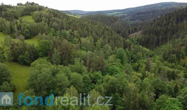 Prodej pozemku 4 999 m², Rejštejn, okres Klatovy