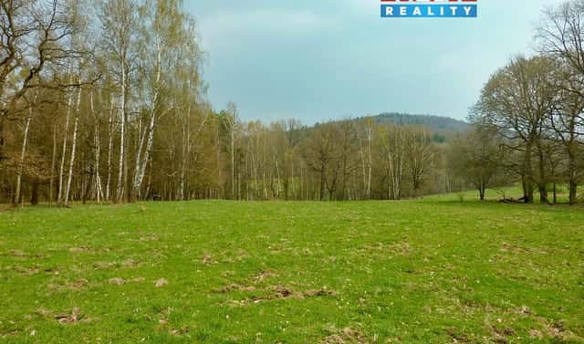 Prodej louky 55 278 m², Stružnice, okres Česká Lípa