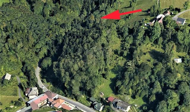 Prodej lesa 987 m², Koberovy, okres Jablonec nad Nisou