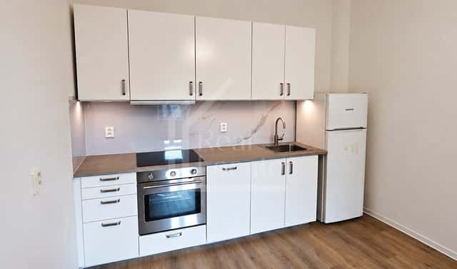 Pronájem bytu 1+1 36 m², Braunerova, Praha 8 – Libeň