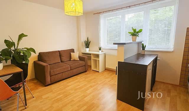 Pronájem bytu 1+kk 28 m², Přemyslova, Písek – Pražské Předměstí