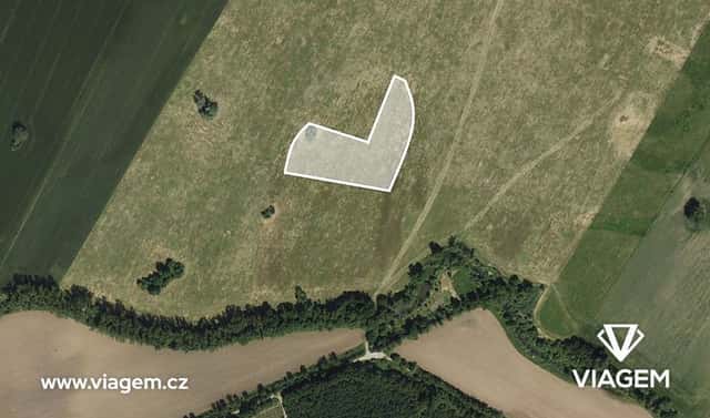 Prodej pole 860 m², Moravská Nová Ves, okres Břeclav