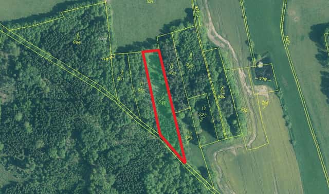 Prodej lesa 5 564 m², Skály, okres Písek