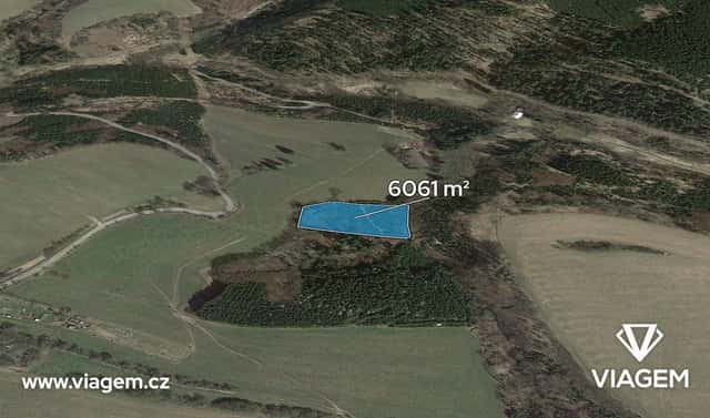 Prodej lesa 6 061 m², Řendějov, okres Kutná Hora