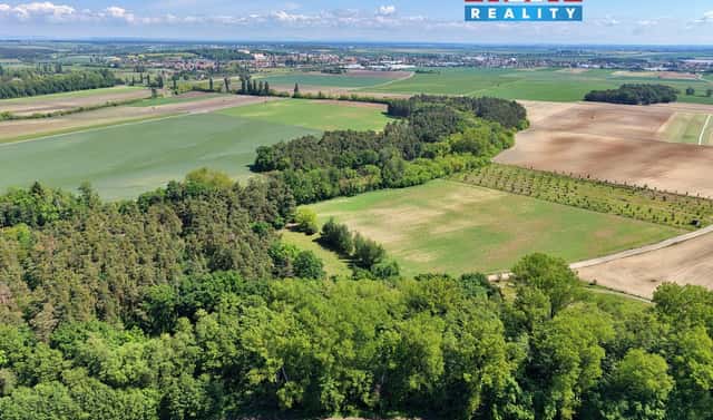 Prodej lesa 5 227 m², Lysá nad Labem, okres Nymburk