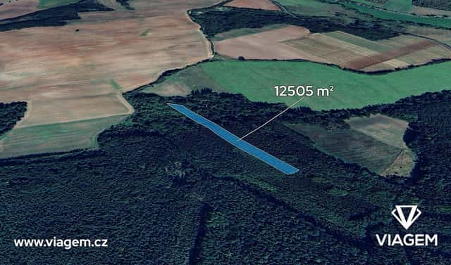 Prodej lesa 5 210 m², Pnětluky, okres Louny